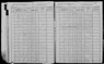 1905 NY Census Wallace Cook