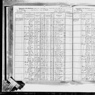 1915 NY Census Exina Cook